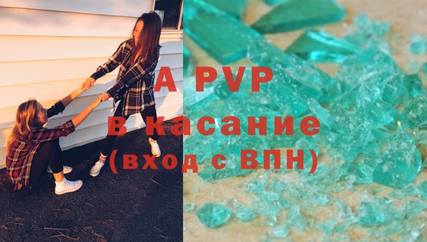молекула духа Пестово