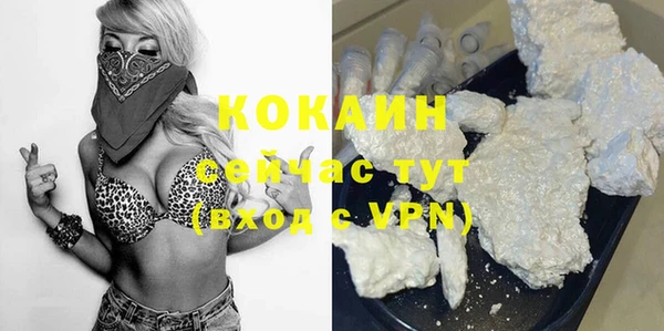 ГАЛЛЮЦИНОГЕННЫЕ ГРИБЫ Магас